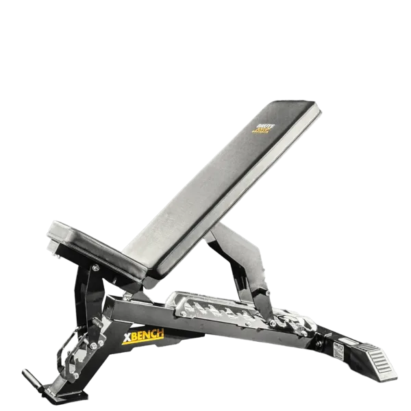XBench Adjustable Bench
